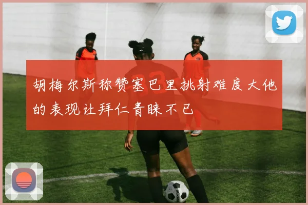 胡梅尔斯称赞塞巴里挑射难度大他的表现让拜仁青睐不已
